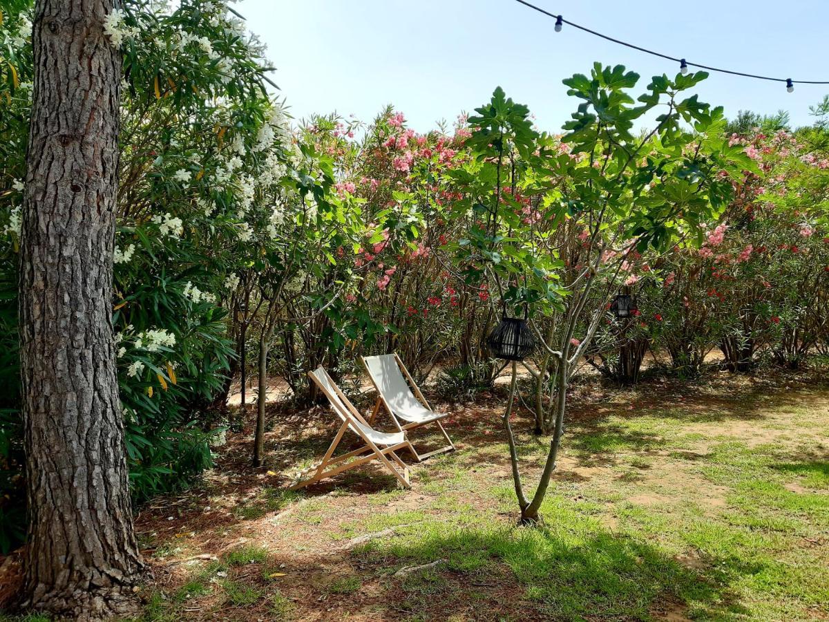 Magnifiques Au Sein D'un Vignoble Holiday home *